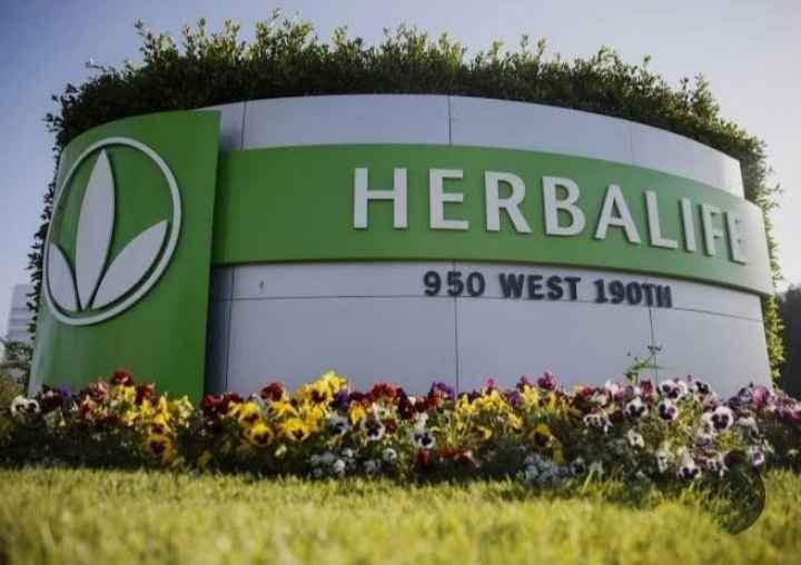 herbalife multi level marketing usa